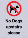 no-dogs-upstairs-please-~